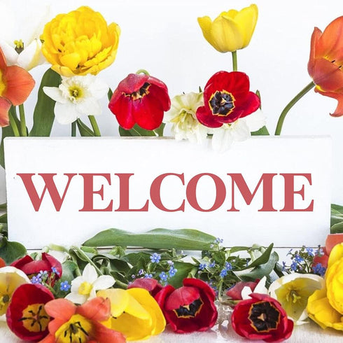 5 inch Letter Stencils for Painting On Wood,36pcs Stencils Letter Alphabet Number Stencil Templates for Wood Wall Signs Door Porch Fabric...