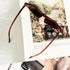 Women Cat Eye Sunglasses,Vintage Goggles Plastic Frame Sunglasses Cat Eye Mod Style Style Retro Sunglasses...