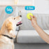 PrimePets Tennis Balls for Dogs, 2.5 Inch, 12 Pack, Squeaky Dog Toy, Interactive Pet Fetch Ball for Medium and Large Dogs, Squeaky Dog Toys (Rando...