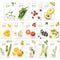 Nature Republic Real Nature Mask Sheet 10pcs Original Korean Mask Sheet...