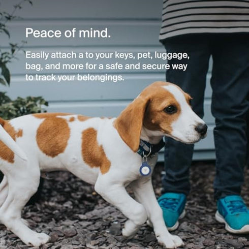 Belkin Apple AirTag Secure Holder with Key Ring - Durable Scratch Resistant Case With Open Face & Raised Edges - Protective AirTag Keychain Access...