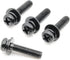 ReplacementScrews 1 Set of Metric Screws (Model RS-198126) Pan Head - Philips Drive - Black Plated (Pack of 4)...
