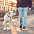 2 Pack Dog Leash 5 FT Heavy Duty Nylon Rope Dog Leash with Comfortable Padded Handle Sturdy Reflective Threads Strong Dog Leash for Medium Large D...
