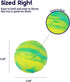 Petstages Grunt N' Punt Tennis Ball - Fetch Ball Dog Toy...