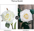 DuHouse 10pcs Fake Roses Artificial Silk Flowers Faux Rose Flower Long Stems Bouquet for Arrangement Wedding Centerpiece Party Home Kitchen Decor(...