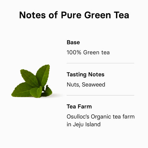 OSULLOC Pure Green Tea (Mild, Clean tasting Aroma), USDA Organic, Premium Blended Tea from Jeju, Tea Bag Series 20 count...