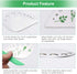 Leaf Herb Stripper, Stainless Steel Kitchen Herb Stripper Tool, 9holes, 2 in 1 design,Curved edge can be used as a kitchen knifefor Chard, Collard...