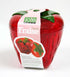 1 X MSC International Jo!e Strawberry Keeper...