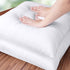 Utopia Bedding Throw Pillows Insert (Pack of 2, White) - 12 x 12 Inches Bed and Couch Pillows - Indoor Decorative Pillow...