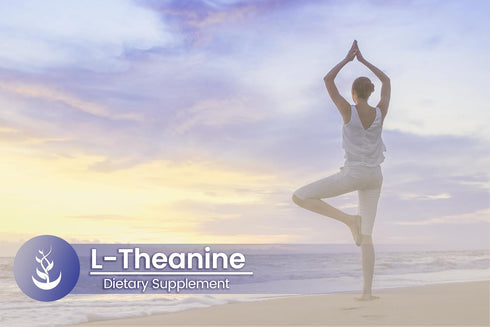 Pure Original Ingredients L-Theanine, (100 Capsules) Always Pure, No Additives or Fillers, Lab Verified...