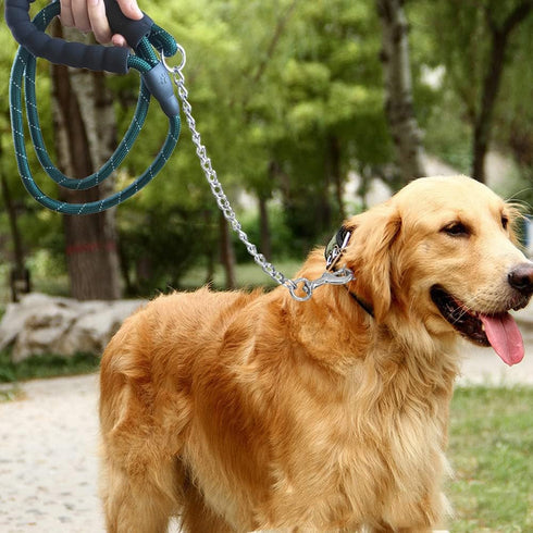 BTINESFUL 6FT Chewproof Dog Leash, Strong Nylon Rope with Anti-Chewing Chain and Padded Handle for Medium Large Dogs Outdoor Training Walking Hiki...