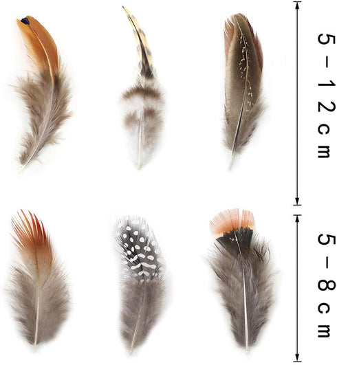 180pcs 9 Styled Natural Feathers Assorted Mixed Feathers for Jewelry and Dream Catcher Crafts...
