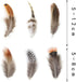 180pcs 9 Styled Natural Feathers Assorted Mixed Feathers for Jewelry and Dream Catcher Crafts...