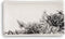 DEMDACO Floral Glossy Black and White 6 x 3.5 Stoneware Ceramic Everyday Kitchen Rectangle Spoon Rest...