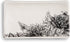 DEMDACO Floral Glossy Black and White 6 x 3.5 Stoneware Ceramic Everyday Kitchen Rectangle Spoon Rest...