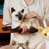 Cute Simulation Siamese Cat Plush Toy Realistic Lifelike Siamese Cat Kitty Stuffed Animals Model Doll Gift Collection for Kids...