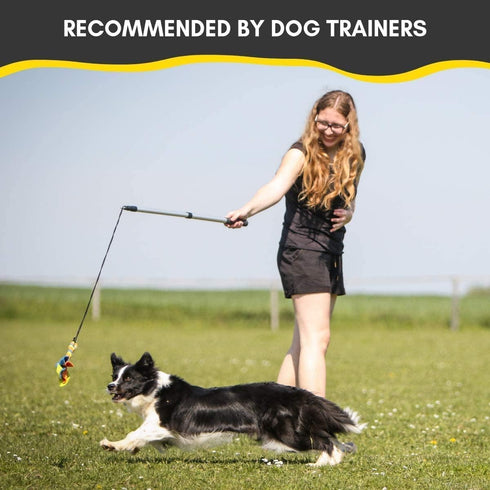 Flirt Pole for Dogs - Safe & Strong for Large Breeds w/Non-Bungee Cord - Spring Pole for Tug of War, Interactive Play & Puppy Training - Heavy-Dut...