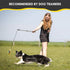 Flirt Pole for Dogs - Safe & Strong for Large Breeds w/Non-Bungee Cord - Spring Pole for Tug of War, Interactive Play & Puppy Training - Heavy-Dut...