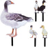 CREATCABIN 4Pcs Duck Yard Art Ground Insert Decorations Acrylic Garden Stake Double Sided Printing Statue Outdoor Stakes Animal Sculpture Sign Yar...