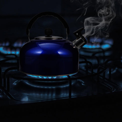 Amosfun Stove Top Whistling Tea Kettle Stainless Steel Teakettle Teapot with Ergonomic Handle Water Boiling Tea Pot for Gas Induction Electric Sto...
