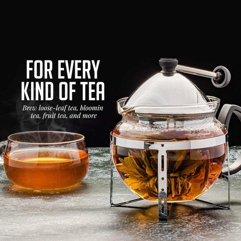 OVENTE Glass Teapot with Removable Stainless-Steel Infuser for Blooming Tea and Loose Leaf, 17oz Borosilicate Glass Tea Maker Perfect for Personal...