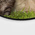 Gaming Round Mouse Pad Custom,Animals Cat Kitten Dog Golden Retriever Puppy Mouse Pad...