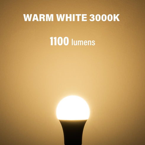 KEIVO 12 Volt Light Bulb, Warm White 3000K, 75 Watt Equivalent, 11W 1100 Lumens, AC/DC 12-24V Low Voltage Led Bulbs, A19 E26 Standard Base, Bright...