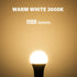KEIVO 12 Volt Light Bulb, Warm White 3000K, 75 Watt Equivalent, 11W 1100 Lumens, AC/DC 12-24V Low Voltage Led Bulbs, A19 E26 Standard Base, Bright...