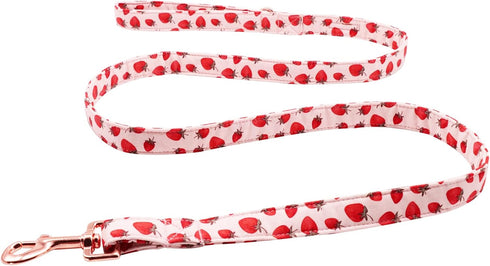 Lionet Paws Dog Leash Matching Dog Collar for Small Medium Large Dog...