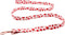 Lionet Paws Dog Leash Matching Dog Collar for Small Medium Large Dog...