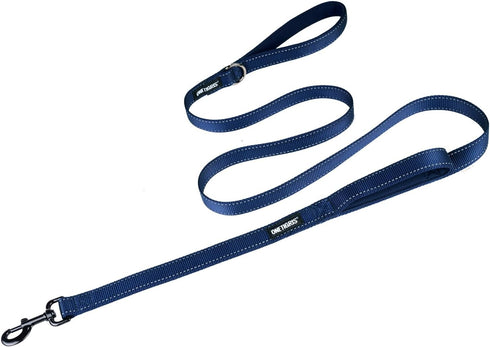 OneTigris Handled No-Pull Dog Walking Leash Long Traffic Leads for Medium to Large Dogs (Blue, 6FT)...