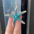 Cute Sea Starfish Lapel Brooch Pin Crystal Rhinestone Paved CZ Star Pins Clip Collar Hat Shirt Jacket Badge Backpack Clothes Accessorries Brooches...