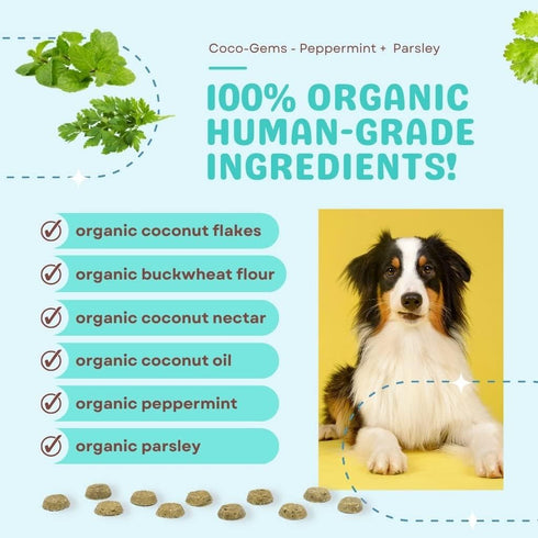 CocoTherapy Coco-Gems Dog Training Treat (Peppermint + Parsley) 5 Oz....