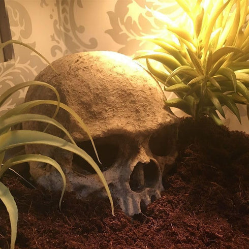 Halloween Aquarium Landscape Skull Aquarium Skull Artificial Skeleton Decoration for Home Décor Aquarium Fish Tank Landscape Collectible Teaching ...