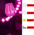 S14 Pink LED Bulb S14 Replacement LED Light Bulbs 2W Plastic Shatterproof LED Night Bulb E26 Base Pink String Lights Waterproof Vintage Bulb for C...