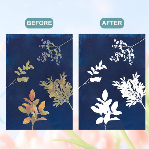 WEBEEDY 30 Sheets Cyanotype Paper Leaves Sun Print Paper Kit,A4 High Sensitive Sun Paper Nature Sun Printing Kit,Sun Art Paper Sun Print Paper for...