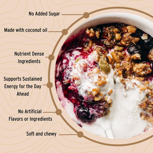 Wildway Keto Granola | Coconut Cashew | Grain-Free, Certified Gluten-Free Cereal | Vegan, Low Carb | No Sugar Added | Paleo-Friendly | Non-GMO Fru...