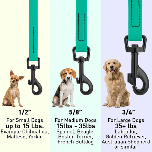 Dogline Biothane Waterproof Dog Leash Strong Coated Nylon Webbing with Black Hardware Odor-Proof for Easy Care Easy to Clean High Performance for ...