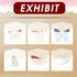 100 Pcs Glassine Envelopes, 3.9 × 2.7 Inch Small Envelopes, Mini Translucent Envelopes, Glassine Bags, Clear Envelopes for Seeds, Stamps, Coin, Lo...