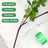 KINGLAKE GARDEN Grafting Tape,2 Pcs Tree Grafting Tape,Stretchable Garden Parafilm Tape,Grafting Tool for Fruit Trees,Plants Repair Budding Tape...