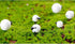 9pcs Sheep Micro Landscape Ornaments, Miniature Figurines Fairy Garden Accessories, Garden DIY Kit...