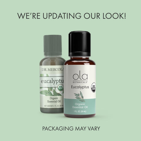 Ola Botanicals Organic Eucalyptus Essential Oil (1 Fl. Oz.), Refreshing and Soothing, Certified USDA Organic, Dr. Mercola...