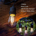 Clear 2W S14 LED Bulbs Plastic Shatterproof for String Light Bulbs Replacement (2)...