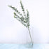Supla 3 Pcs 35" Tall Eucalyputs Stems Eucalyputs Leaves Spray Artificial Eucalyptus Branches Real Touch Greenery Stems for Vase Bouquets Garland F...