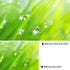 Walking Way 6 Points Star Filter 82 MM Variable Twinkle Effect Starburst Filter - Cross-screen Filter - Slim Sparkling Effect Lens Filter...