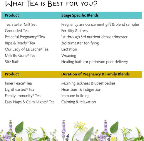 Birds & Bees Teas - Organic Heartburn Relief for Acid Reflux and Pregnancy Heartburn Tea - Lighthearted Tea is a Delicious Natural Remedy for Preg...