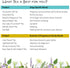 Birds & Bees Teas - Organic Heartburn Relief for Acid Reflux and Pregnancy Heartburn Tea - Lighthearted Tea is a Delicious Natural Remedy for Preg...