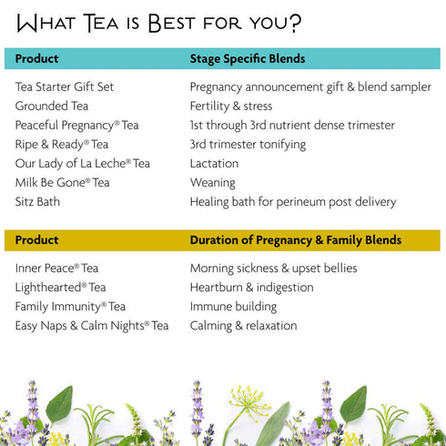 Birds & Bees Teas - Organic Fertility Tea & Pre Conception Tea, Grounded Pregnancy Tea is a Red Raspberry Leaf Blend for a Great Natural Cleanse a...