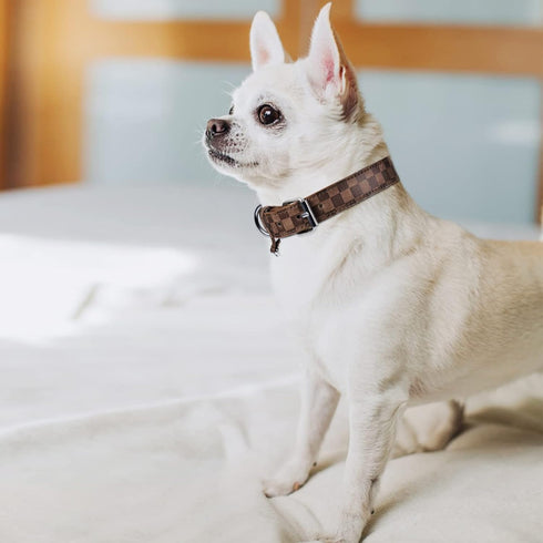 Dog Collar for Small Medium Large Dogs Pet Collars Girl Boy, PU Stamping Leather Plaid Dogs Collar Adjustable Chihuahua Teacup Yorkie Puppy Collar...