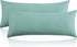 Entisn 2Pcs Body Pillowcases Cover, 1800 Thread Count Brushed Microfiber Body Pillow Case Set Soft and Cozy with Hidden Zipper - 20" x 48", Sage G...